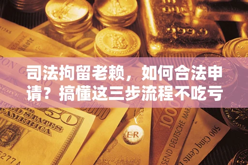 济南司法拘留老赖，如何合法申请？搞懂这三步流程不吃亏！