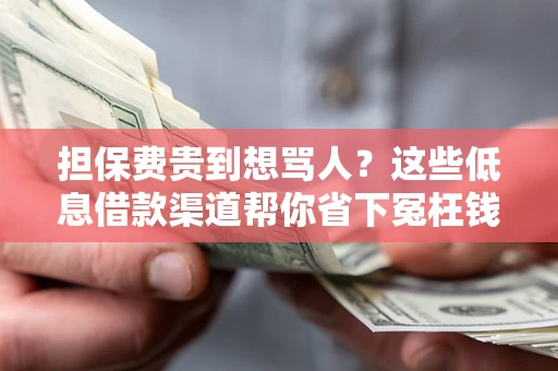 济南担保费贵到想骂人？这些低息借款渠道帮你省下冤枉钱