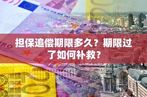 济南担保追偿期限多久？期限过了如何补救？